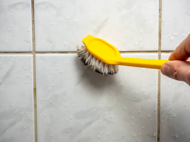 Best Affordable Mold Removal  in El Dorado, KS