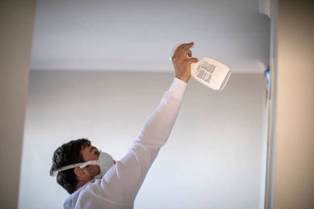 Mold Testing and Removal in El Dorado, KS