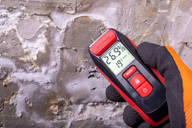 Mold Testing and Removal in El Dorado, KS