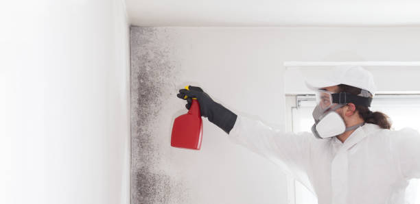 Best Residential Mold Removal  in El Dorado, KS