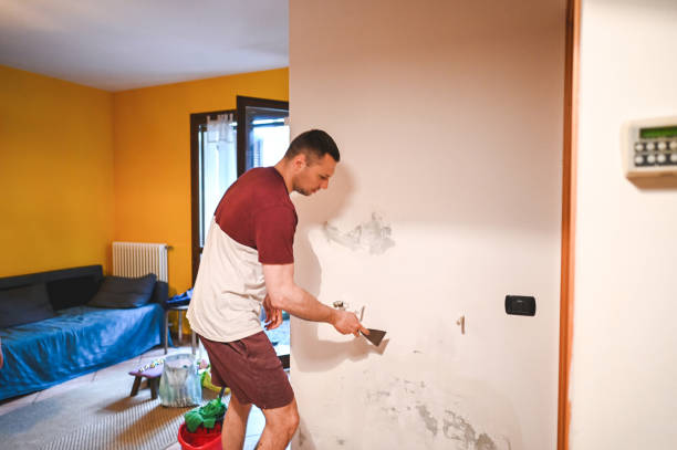 Certified Mold Removal in El Dorado, KS